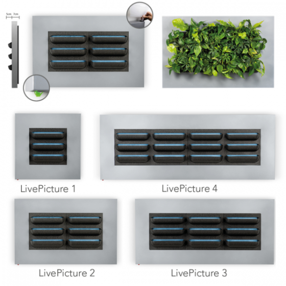 Live Picture weiss Pflanzenbild von Mobilane zur Innenraumbegrünung, Wasserspeicher und -tank